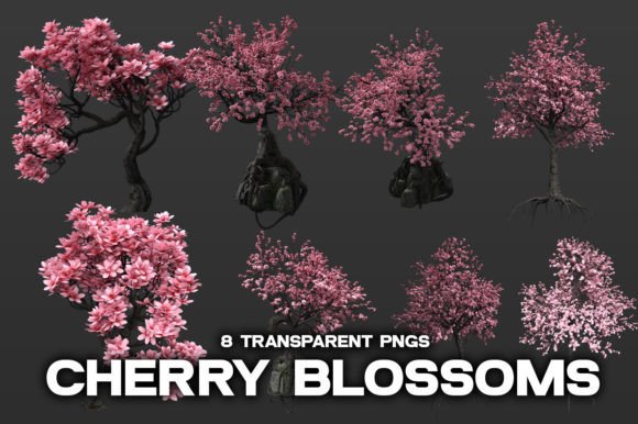 Download Cherry Blossom Tree Overlays PNG - Blossom tree Collection